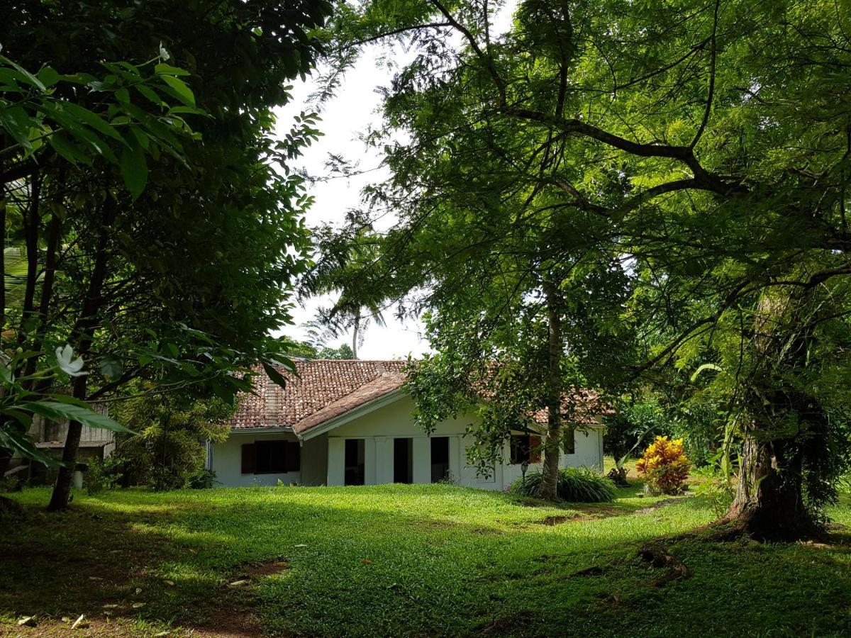 Chitra Ayurveda Hotel Bentota Luaran gambar