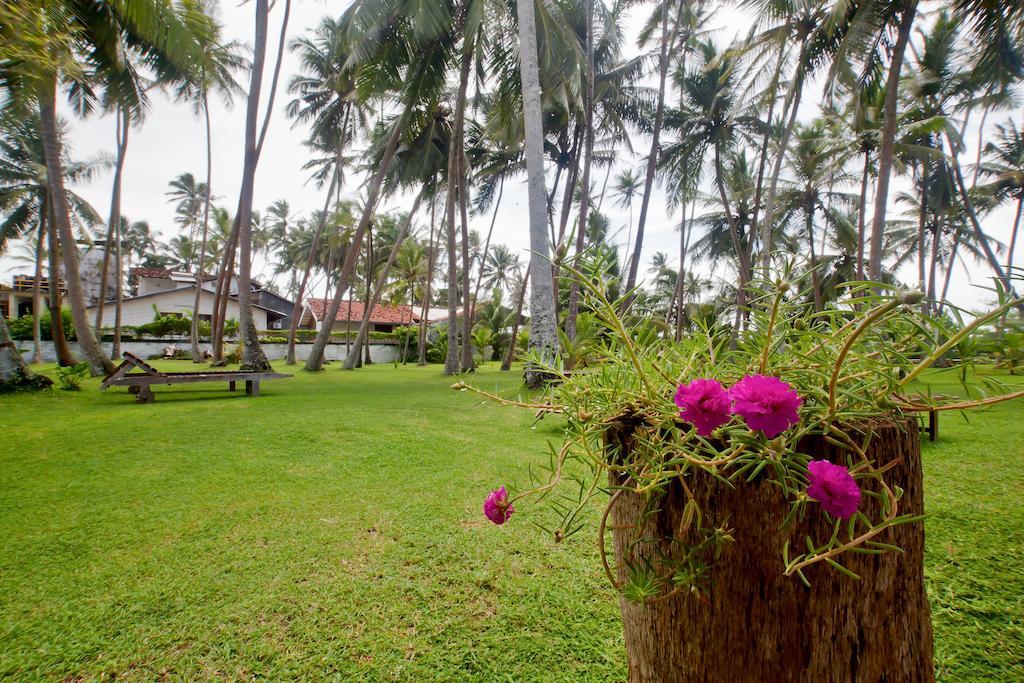Chitra Ayurveda Hotel Bentota Luaran gambar