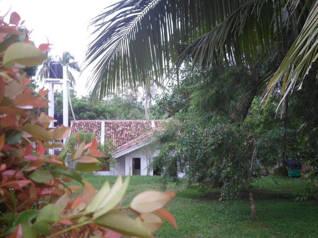 Chitra Ayurveda Hotel Bentota Luaran gambar